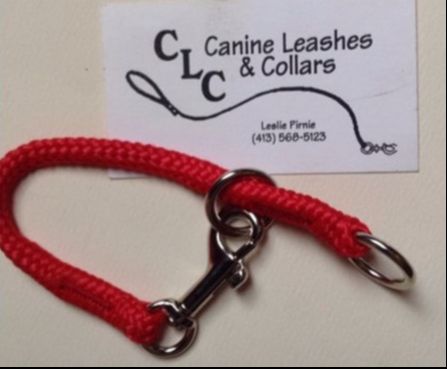 Canine leashes shop and collars